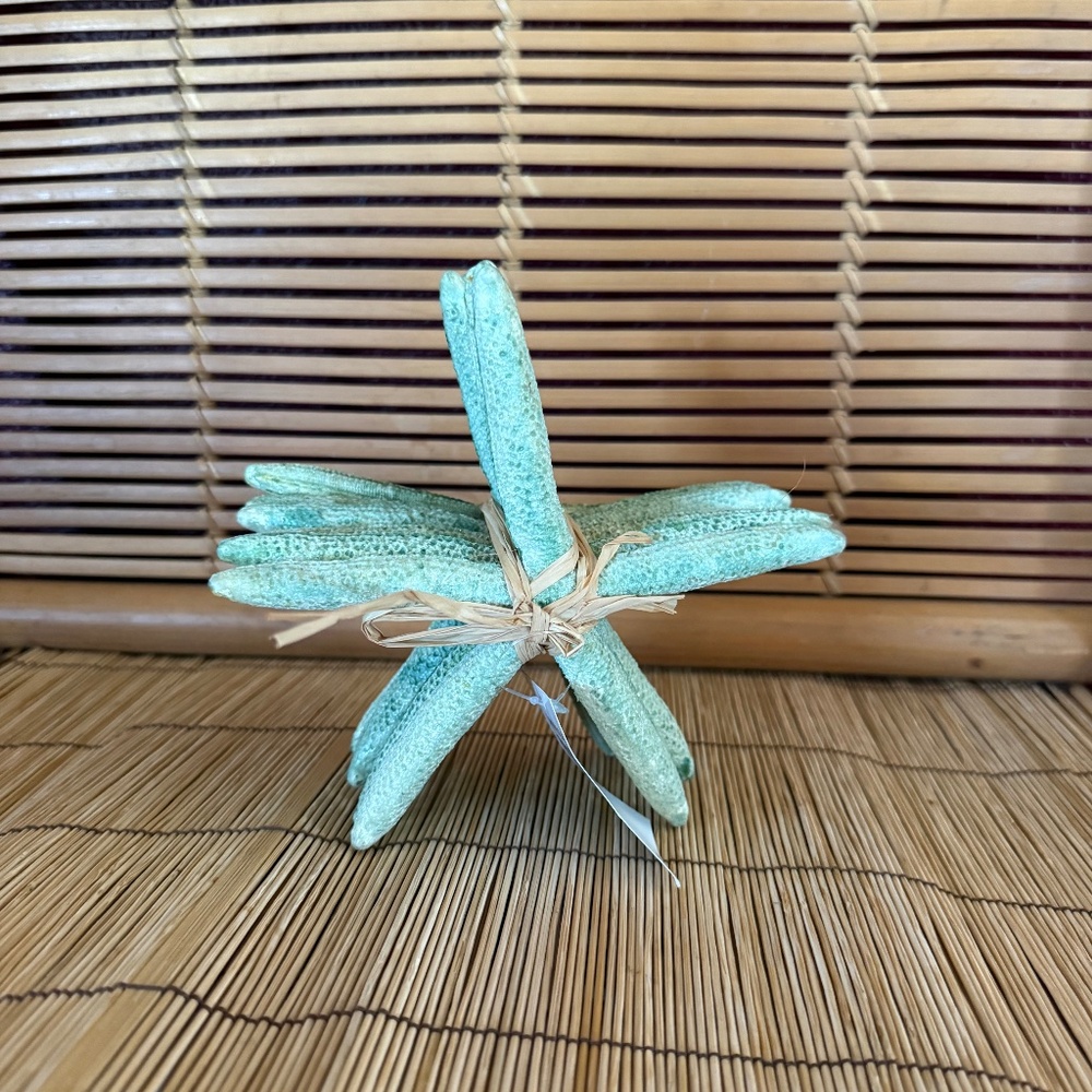 Sea Starfish  / 6 pieces / New with Tags